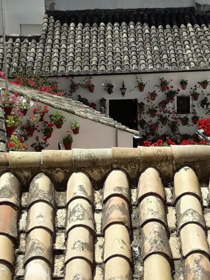 Los Tejares Del Alcazar Cordoba Exterior photo