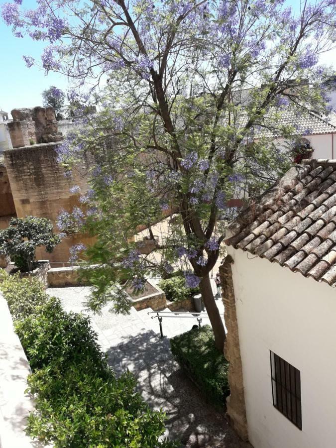 Los Tejares Del Alcazar Cordoba Exterior photo